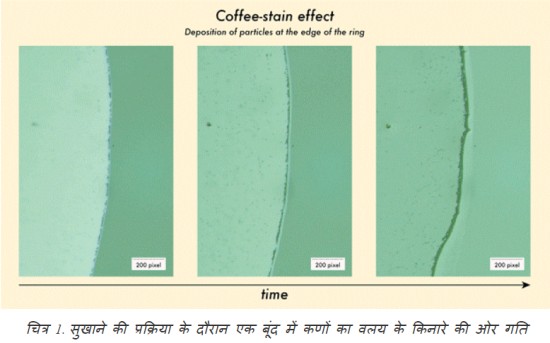 सुबह की कॉफ़ी में छिपा हो सकता है खाने में मौजूद घातक रंगों का पता लगाने का राज़: विज्ञान एवं प्रौद्योगिकी मंत्रालय