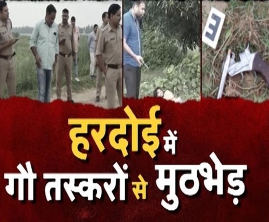 हरदोई में पुलिस और गौ तस्करों में मुठभेड़