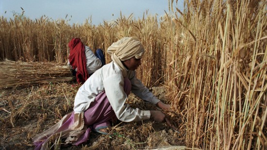 विश्व बैंक समूह: तेल की अधिकता बढ़ने से 2026 में कमोडिटी की कीमतें छह साल के निचले स्तर पर पहुँच जाएँगी