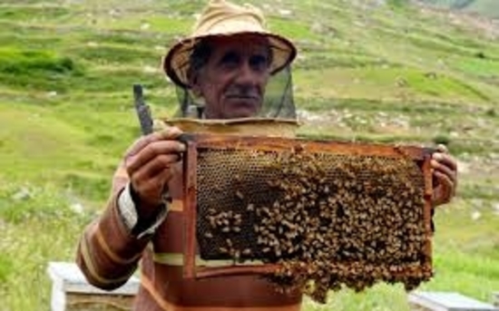 केवीआईसी ने अरुणाचल प्रदेश में मधुमक्‍खी पालन के लिए 1000 बक्‍सों का वितरण किया: ‍सूक्ष्म, लघु और मझौले उद्यम मंत्रालय