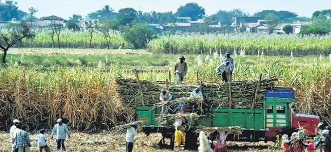 प्रधानमंत्री मोदी की अध्‍यक्षता में केंद्रीय मंत्रिमंडल ने दिसंबर 2019 से एक वर्ष की अवधि के लिए सार्वजनिक क्षेत्र की तेल विपणन कंपनियों द्वारा इथेनॉल के मूल्‍य बृद्धि को मंजूरी दी 