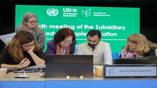 अर्थ नेगोशिएशन बुलेटिन (IISD): जैविक विविधता पर सम्मेलन के कार्यान्वयन संबंधी सहायक निकाय की छठी बैठक  (19 फरवरी 2026 के मुख्य अंश और तस्वीरें)