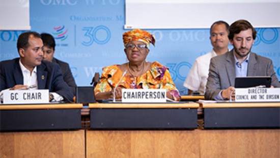 WTO न्यूज़ (व्यापार वार्ता समिति): डीजी ओकोन्जो-इवेला: पहले से कहीं अधिक अब सभी की निगाहें हम पर हैं