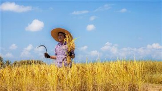 WTO न्यूज़ (कृषि वार्ता): एमसी14 से पहले डब्ल्यूटीओ सदस्य देशों ने कृषि वार्ता के लिए नए प्रस्ताव साझा किए।