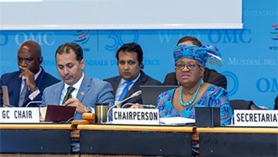 WTO न्यूज़ (व्यापार वार्ता समिति): महानिदेशक ओकोन्जो-इवेला: एमसी14 के लिए *केन्द्रीय प्राथमिकता* के रूप में डब्ल्यूटीओ सुधार पर व्यापक सहमति