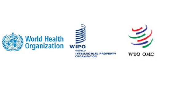 WTO न्यूज़ (विश्व व्यापार संगठन और अन्य संगठन): डब्ल्यूएचओ-डब्ल्यूआईपीओ-डब्ल्यूटीओ वेबिनार में स्वास्थ्य संबंधी मुद्दों से निपटने के लिए सार्वजनिक खरीद को प्रमुख उपकरण के रूप में चर्चा की गई