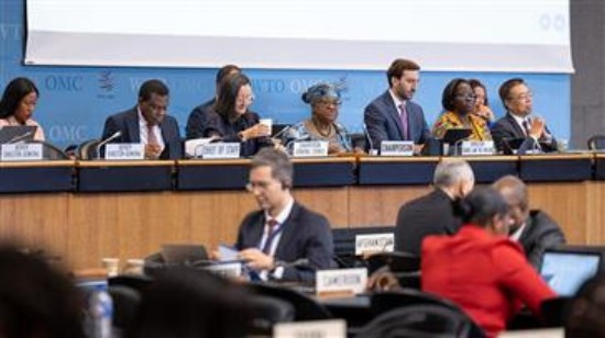 WTO न्यूज़ (व्यापार वार्ता समिति): महानिदेशक ने वार्ता की गति पर चिंता व्यक्त की, जबकि अध्यक्षों ने वर्तमान स्थिति पर रिपोर्ट प्रस्तुत की।