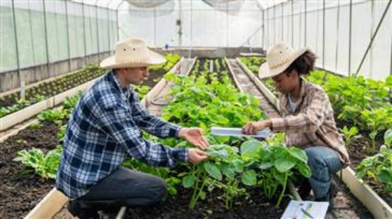 WTO न्यूज़ (स्वच्छता एवं पौध स्वच्छता उपाय): सदस्यों ने एसपीएस व्यापार संबंधी चिंताओं के रिकॉर्ड की समीक्षा की; समूह ने पारदर्शिता संबंधी चुनौतियों और समाधानों पर विचार किया।