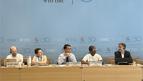 WTO न्यूज़ (व्यापार और पर्यावरणीय स्थिरता संरचित चर्चाएँ) सदस्यों ने स्थिरता चर्चाओं में प्रगति पर प्रकाश डाला, MC14 उद्देश्यों पर चर्चा की