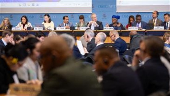 WTO न्यूज़ (विश्व व्यापार संगठन सुधार): एमसी14 से पहले सदस्य डब्ल्यूटीओ सुधार पर अगले कदमों पर चर्चा करते हैं।