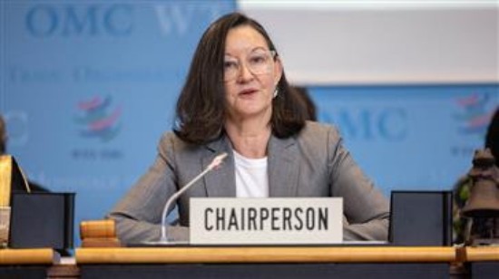 WTO न्यूज़ (सामान्य परिषद): जनरल काउंसिल के अध्यक्ष ने एमसी14 वार्ताओं से मिली गति को आगे बढ़ाने के लिए अगले कदमों की रूपरेखा प्रस्तुत की।