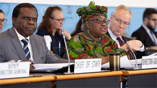 WTO समाचार _ सामान्य परिषद: डीजी ओकोन्जो-इवेला ने एमसी13 के अधूरे काम को पूरा करने की सदस्यों की इच्छा का हवाला दिया.