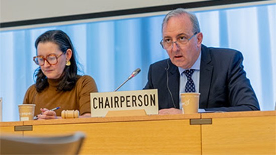 WTO न्यूज़ (माल व्यापार परिषद): सदस्य माल परिषद के सहायक निकायों के लिए 2025 अध्यक्षों पर सहमत हुए