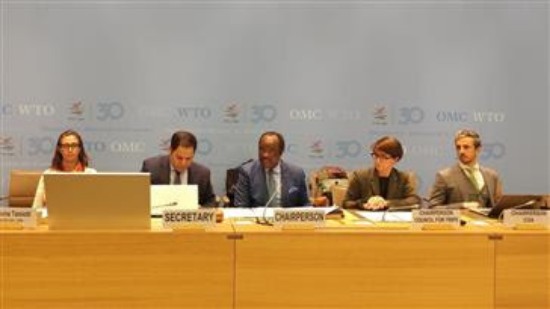 WTO न्यूज़ (व्यापार और प्रौद्योगिकी हस्तांतरण पर कार्य समूह): सदस्यों ने विकासशील अर्थव्यवस्थाओं को प्रौद्योगिकी हस्तांतरण पर विश्व व्यापार संगठन-व्यापी चर्चा की समीक्षा की